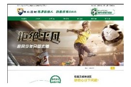 营销型体育运动培训类展示手机端网站织梦模板